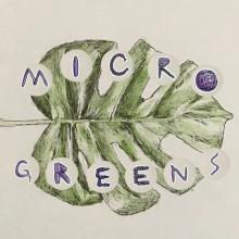 Microgreens